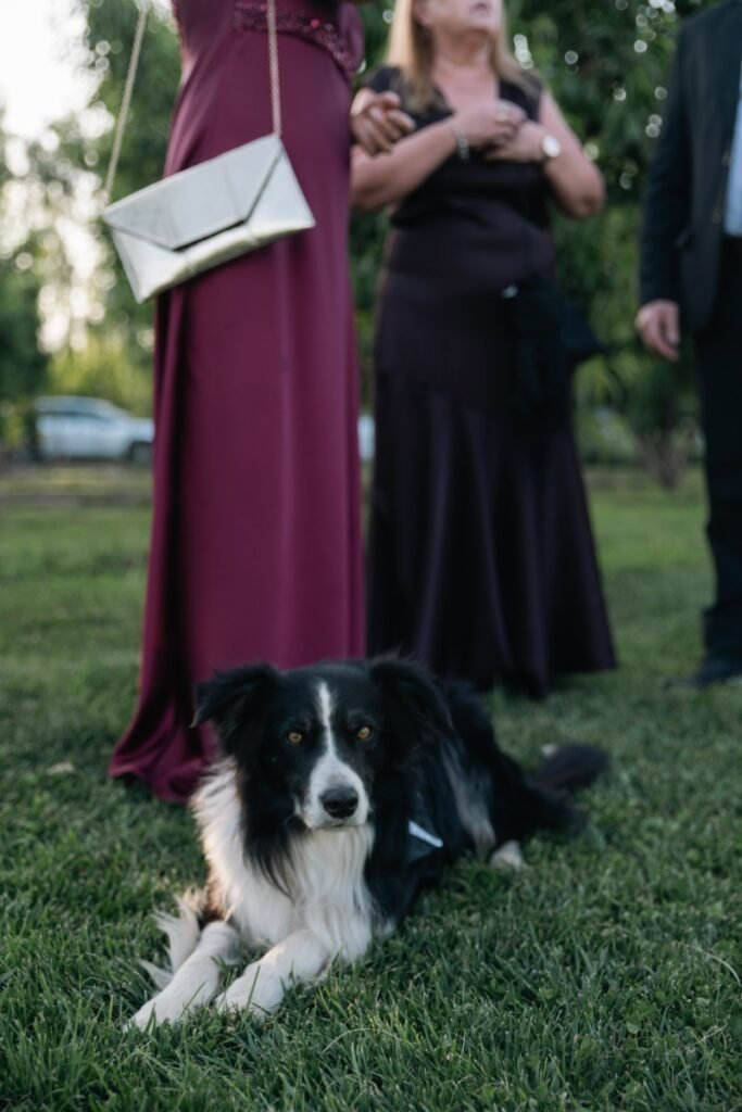 gleez-galeria-003-8638