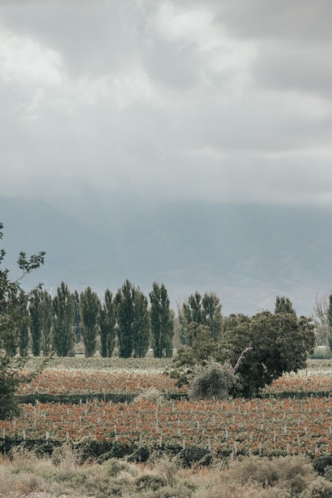 gleez-galeria-023-8638