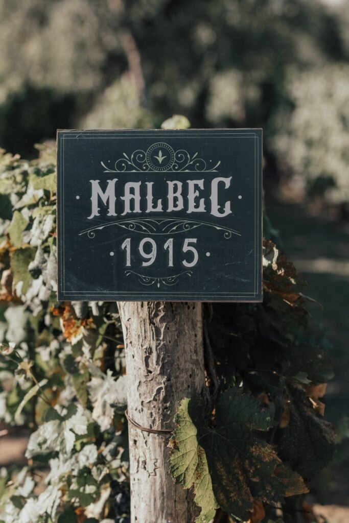 gleez-galeria-029-8638