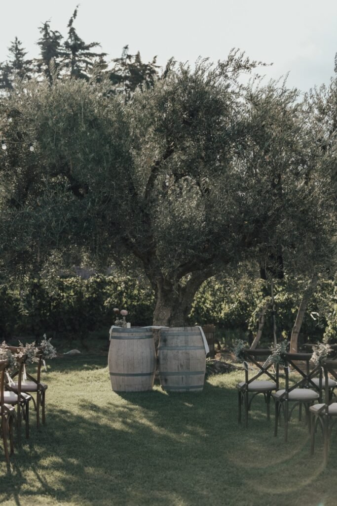 gleez-galeria-070-8638