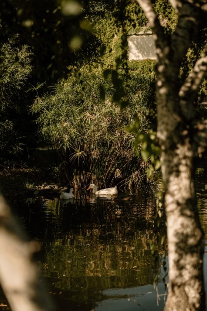 gleez-galeria-076-8638